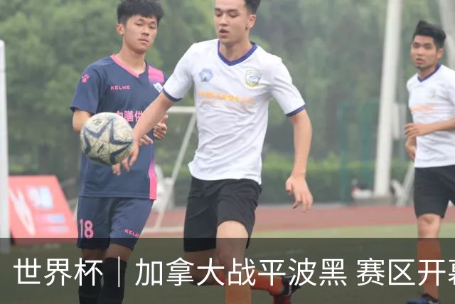 世界杯｜加拿大战平波黑 赛区开幕式表演“翻车”
