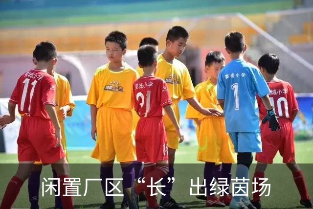 闲置厂区“长”出绿茵场