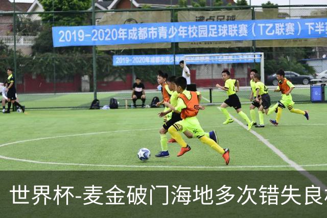 世界杯-麦金破门海地多次错失良机 半场苏格兰1-0领先